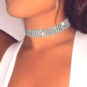 COPY - Necklace Choker Adjustable Bright Silver Choker/Collar